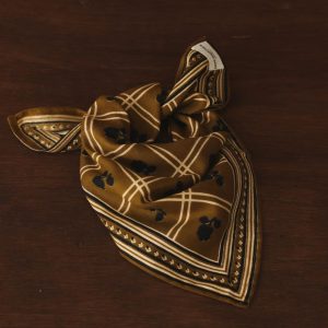 Petit foulard sister - Matcha
